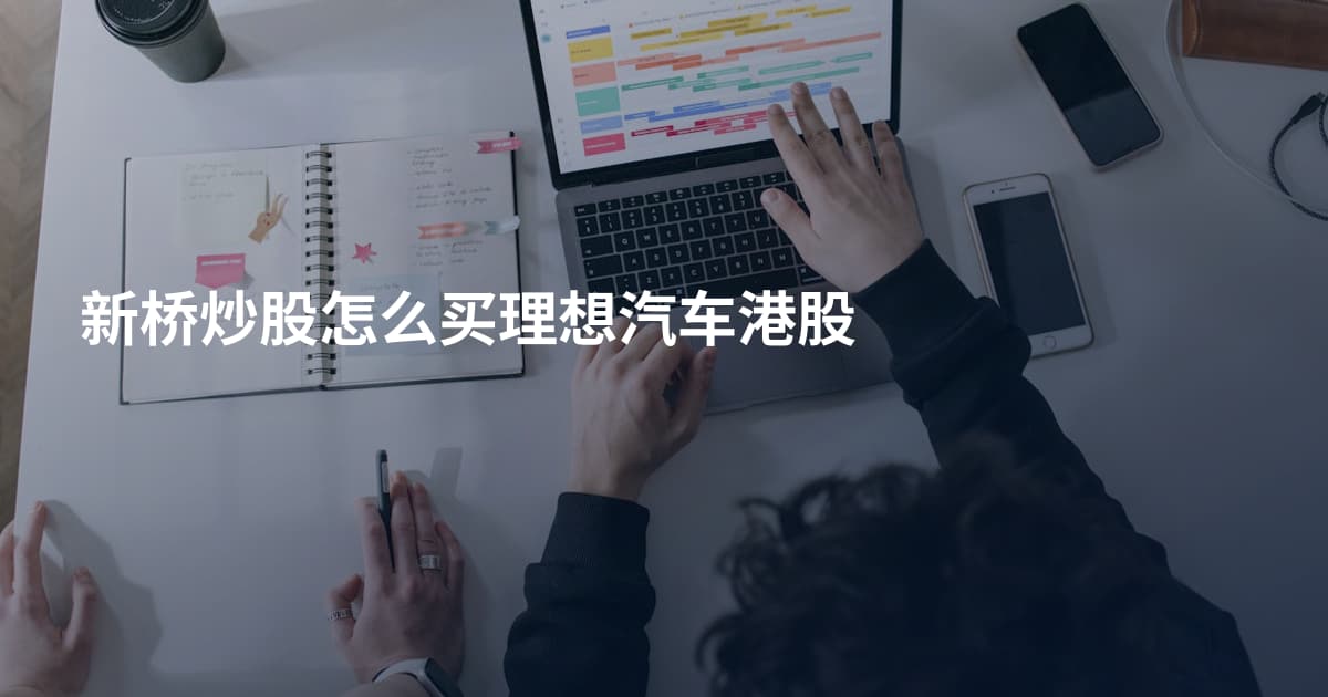 新桥炒股怎么买理想汽车港股
