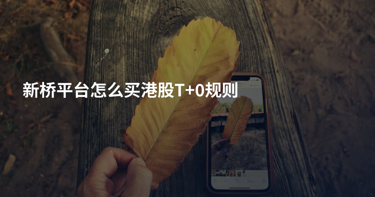 新桥平台怎么买港股T+0规则