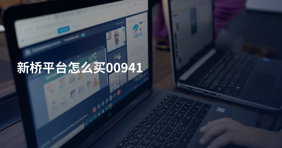 新桥平台怎么买00941