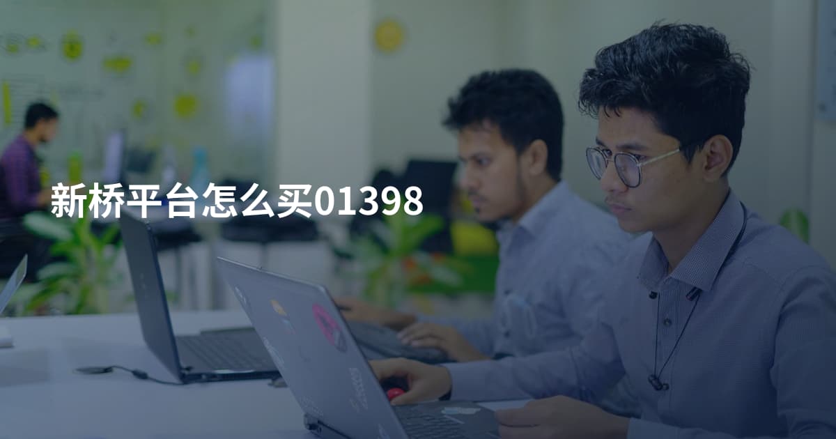 新桥平台怎么买01398