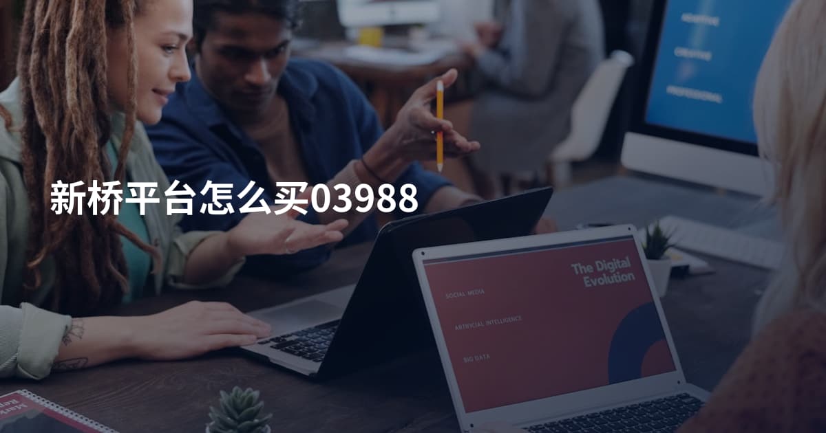 新桥平台怎么买03988