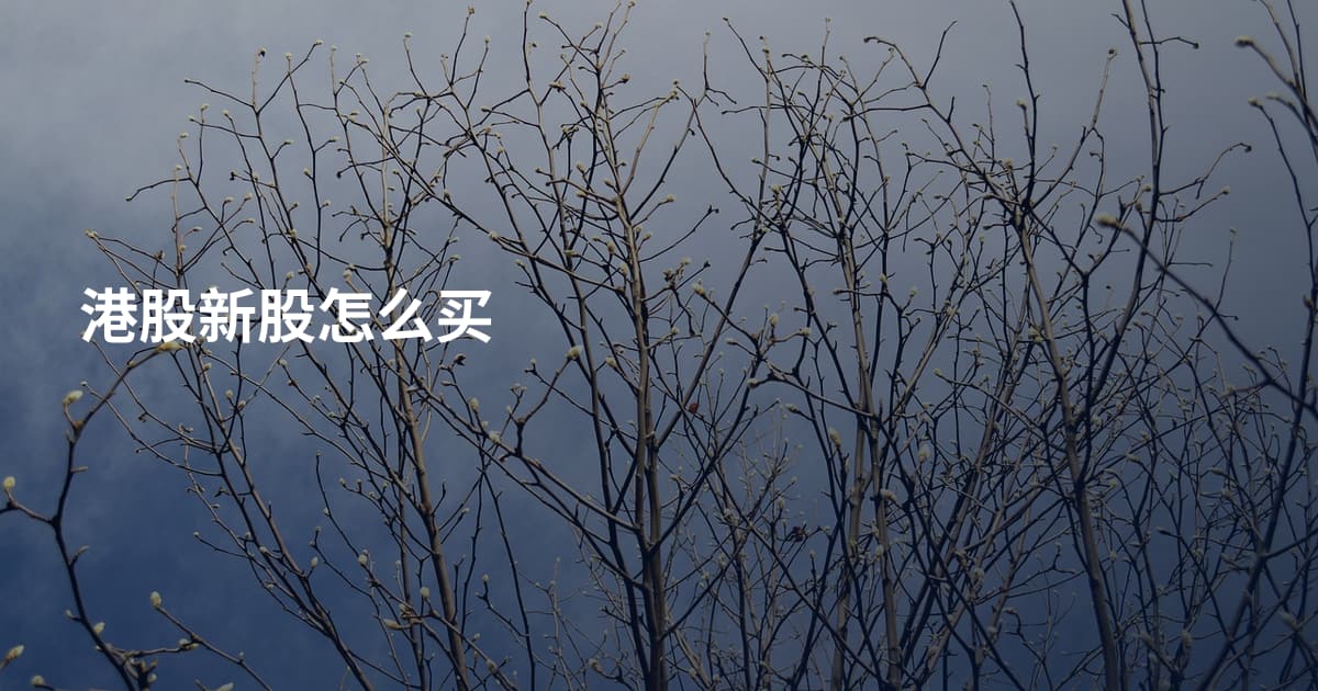 港股新股怎么买