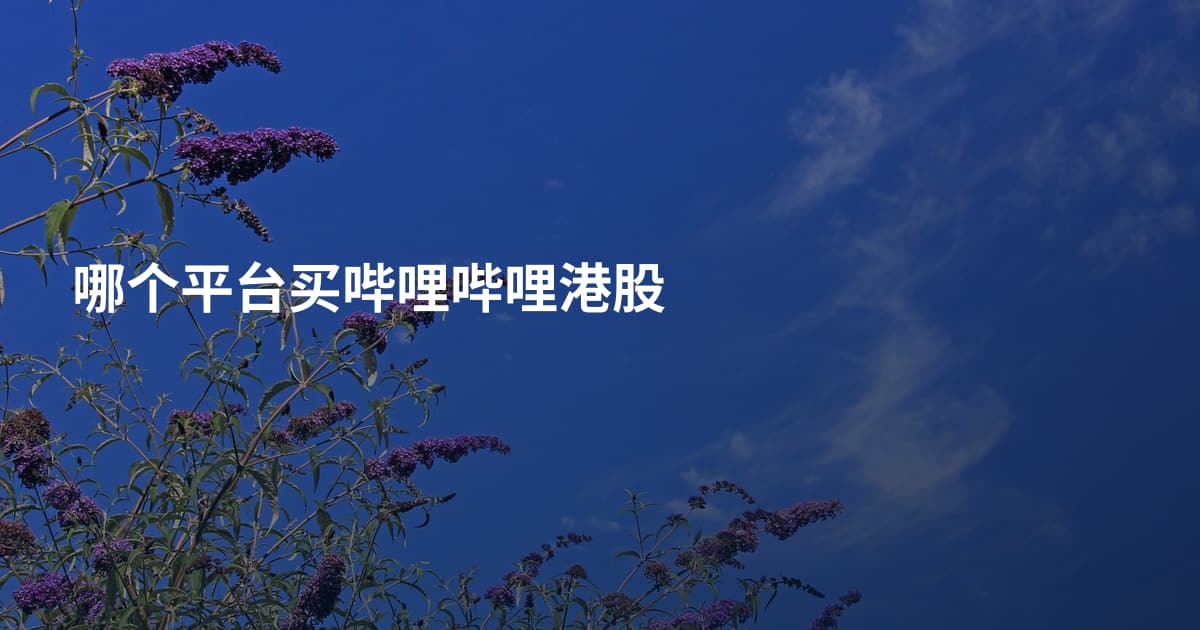 哪个平台买哔哩哔哩港股