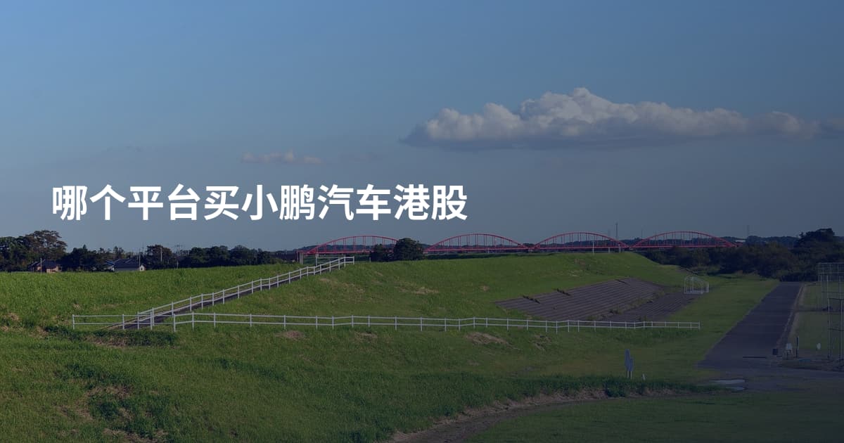 哪个平台买小鹏汽车港股