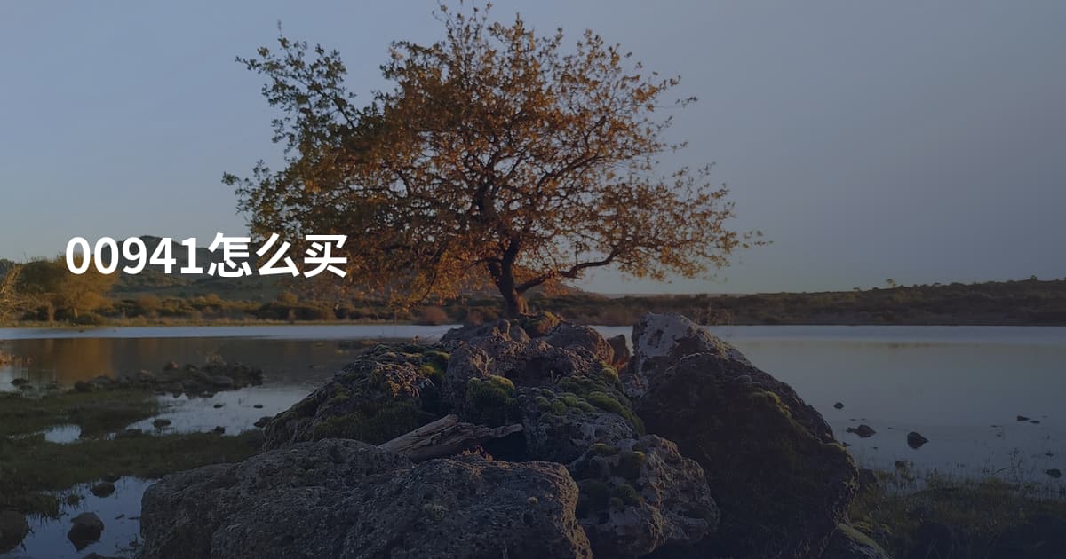 00941怎么买