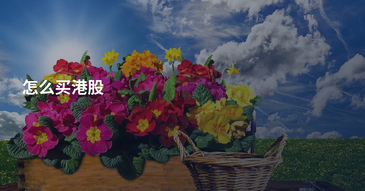 怎么买港股