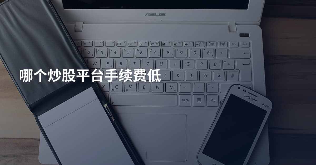 哪个炒股平台手续费低