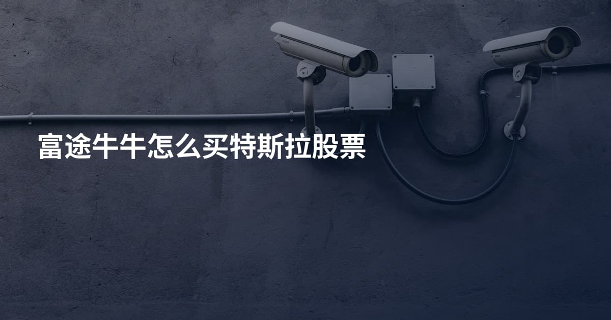 富途牛牛怎么买特斯拉股票