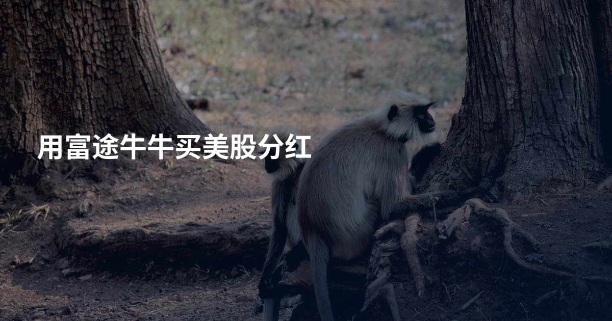 用富途牛牛买美股分红