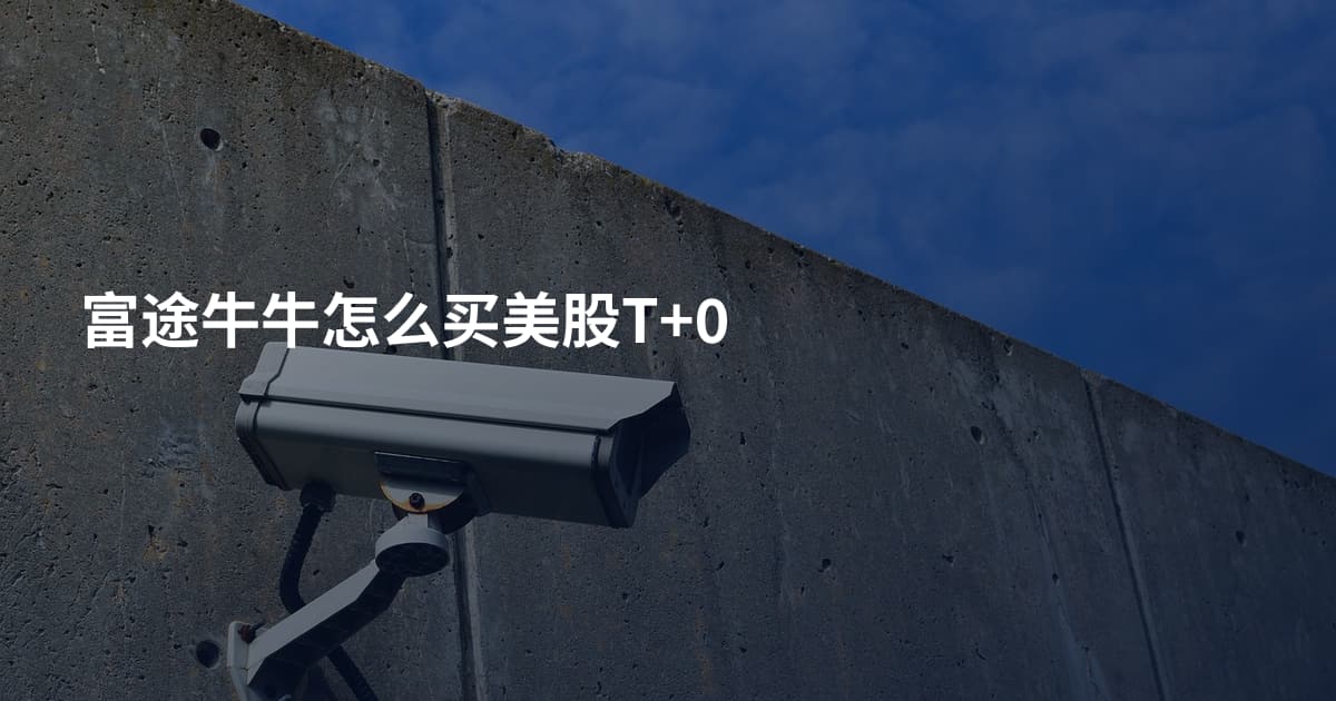 富途牛牛怎么买美股T+0