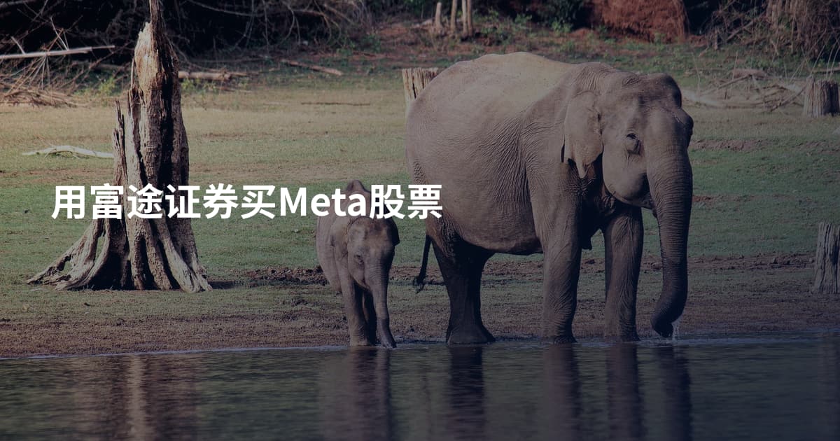 用富途证券买Meta股票