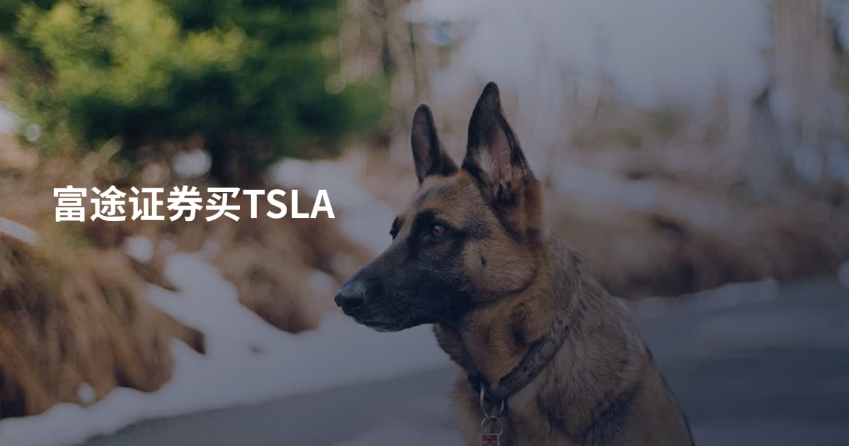 富途证券买TSLA