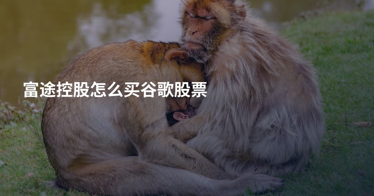 富途控股怎么买谷歌股票