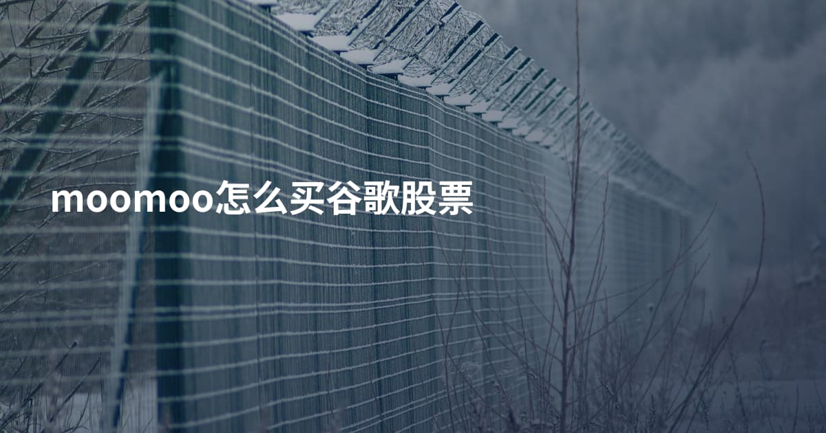 moomoo怎么买谷歌股票