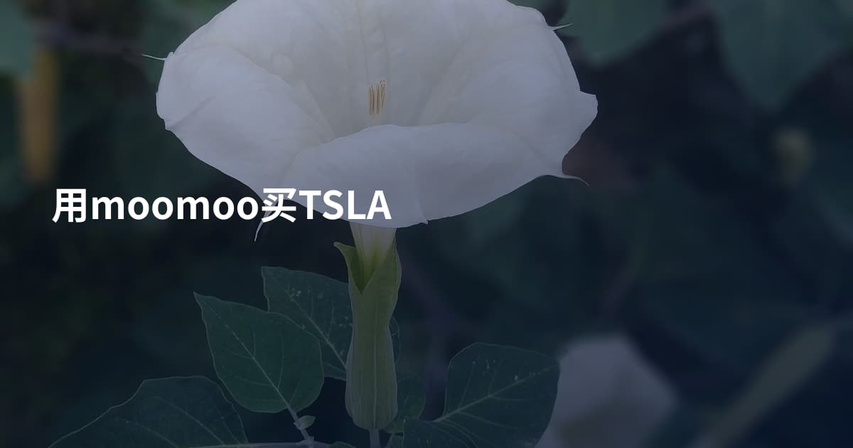 用moomoo买TSLA