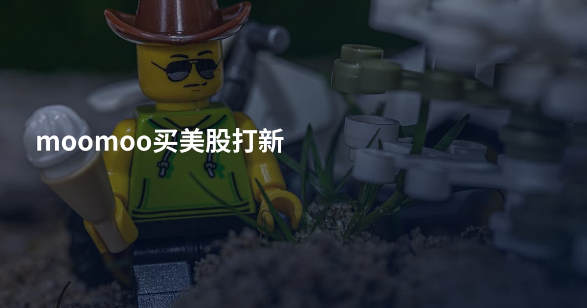 moomoo买美股打新