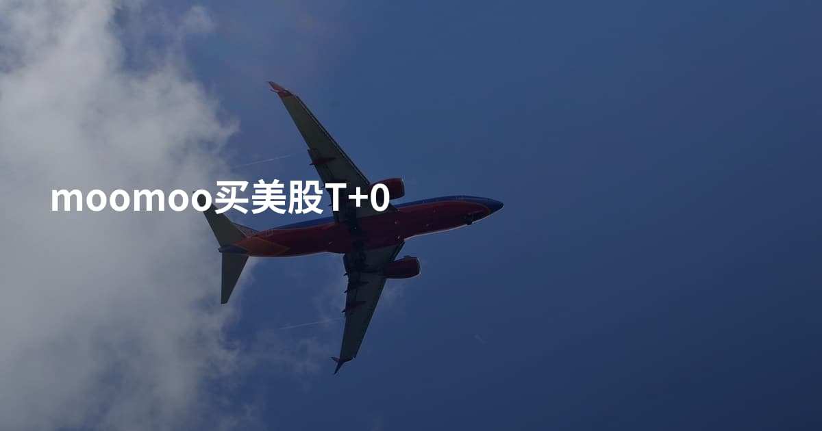 moomoo买美股T+0
