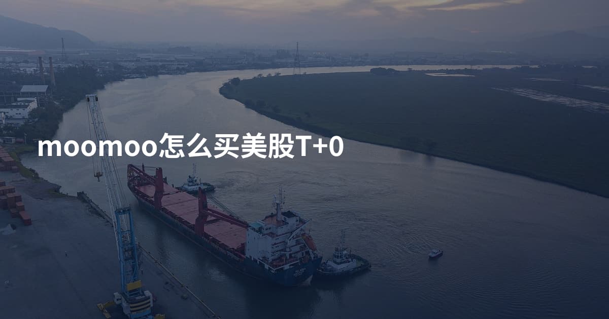 moomoo怎么买美股T+0