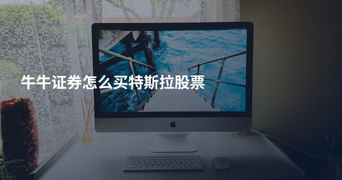 牛牛证券怎么买特斯拉股票