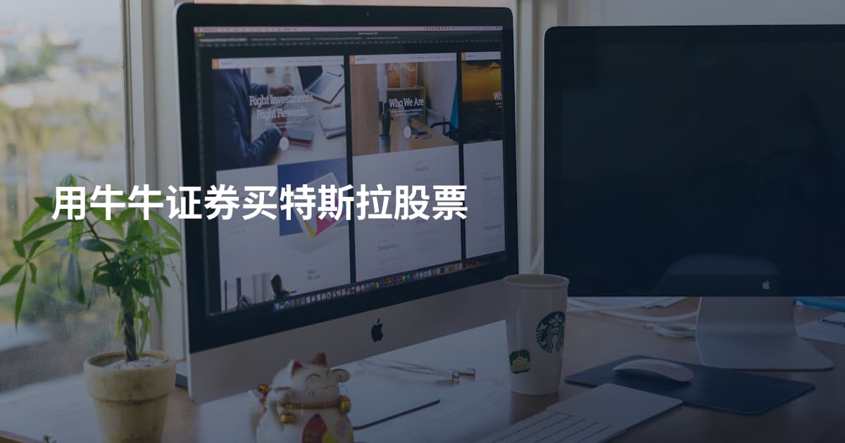 用牛牛证券买特斯拉股票