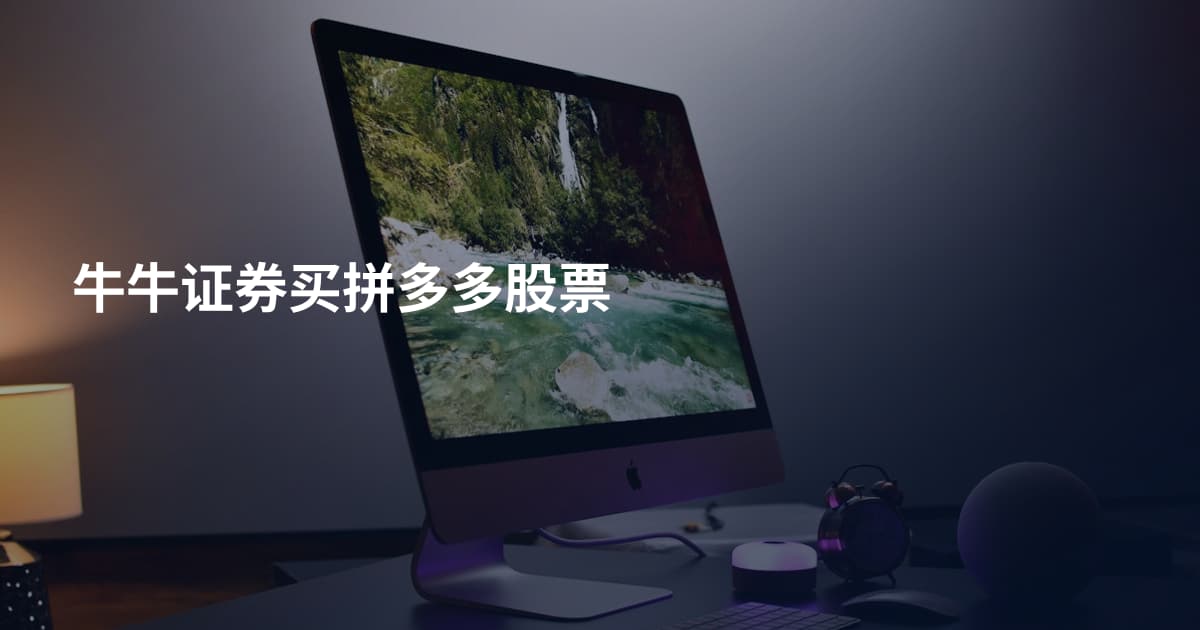 牛牛证券买拼多多股票