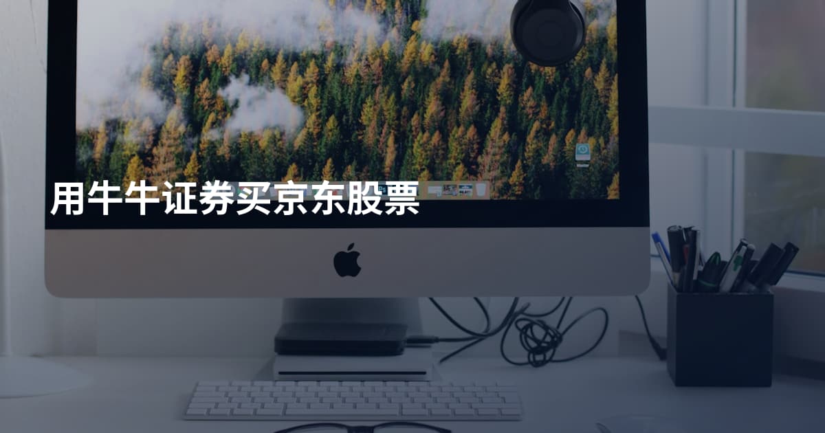 用牛牛证券买京东股票