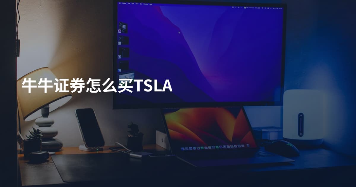 牛牛证券怎么买TSLA