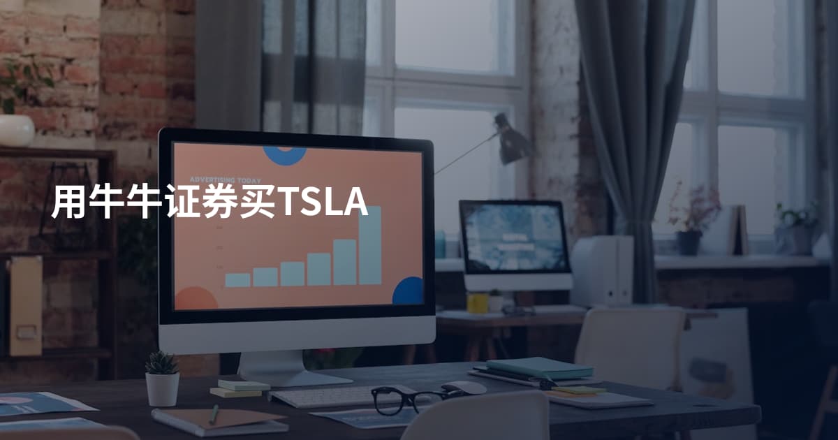 用牛牛证券买TSLA
