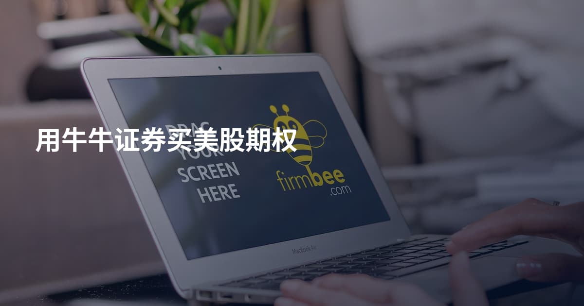 用牛牛证券买美股期权