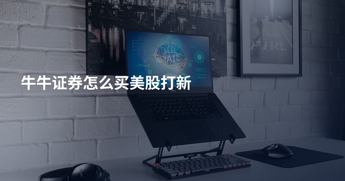 牛牛证券怎么买美股打新