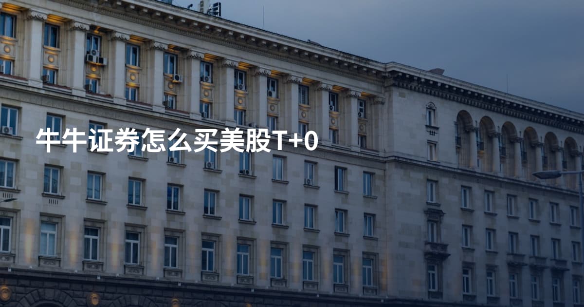 牛牛证券怎么买美股T+0