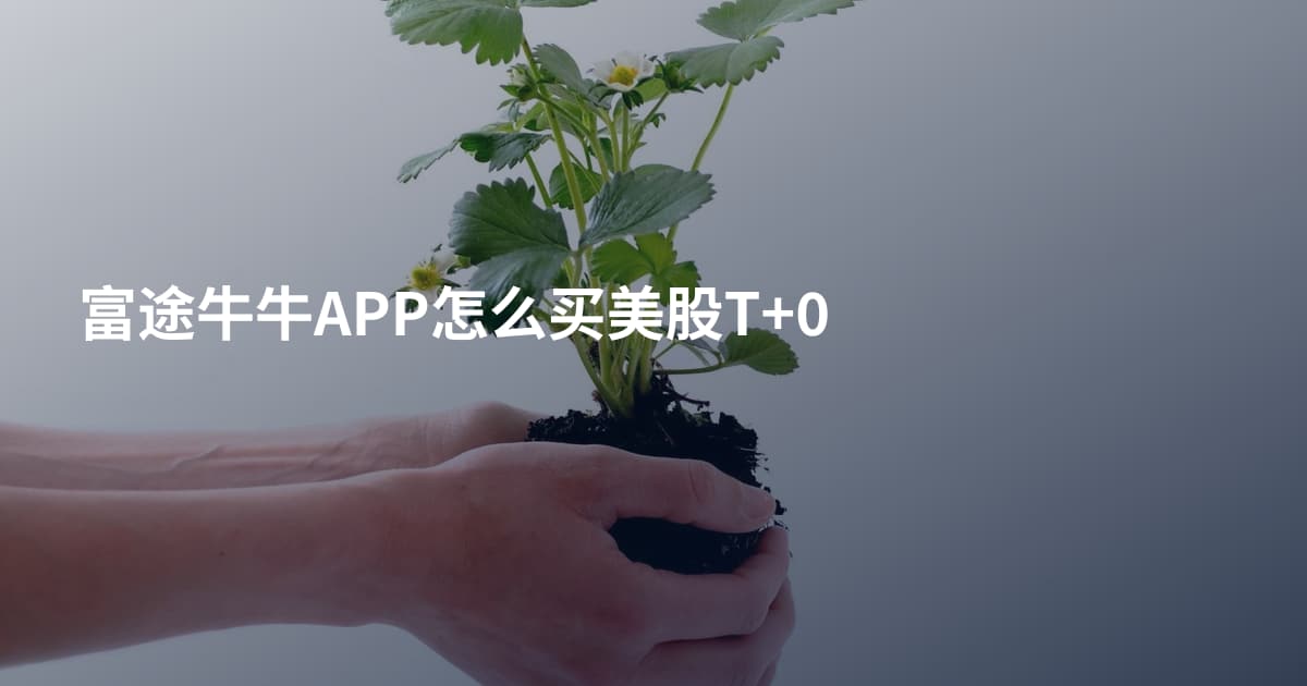 富途牛牛APP怎么买美股T+0