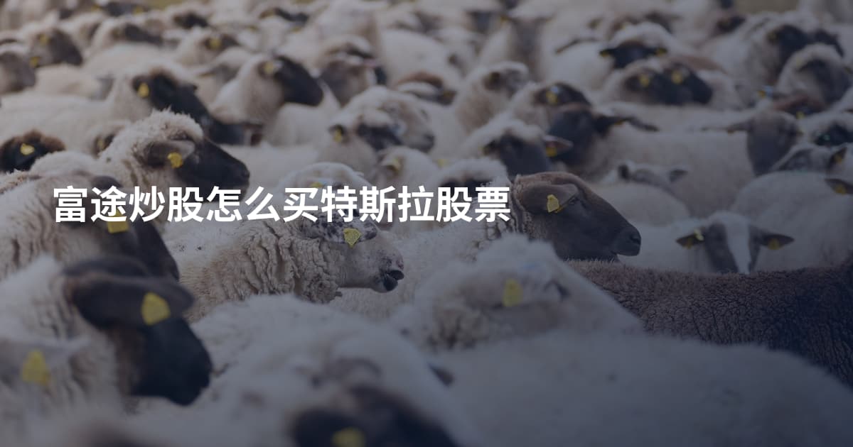富途炒股怎么买特斯拉股票