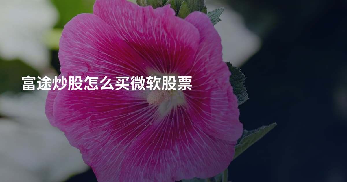 富途炒股怎么买微软股票