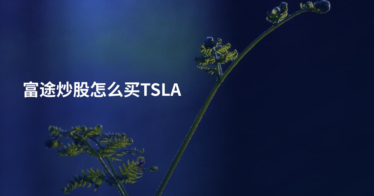 富途炒股怎么买TSLA