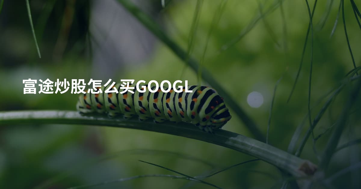 富途炒股怎么买GOOGL