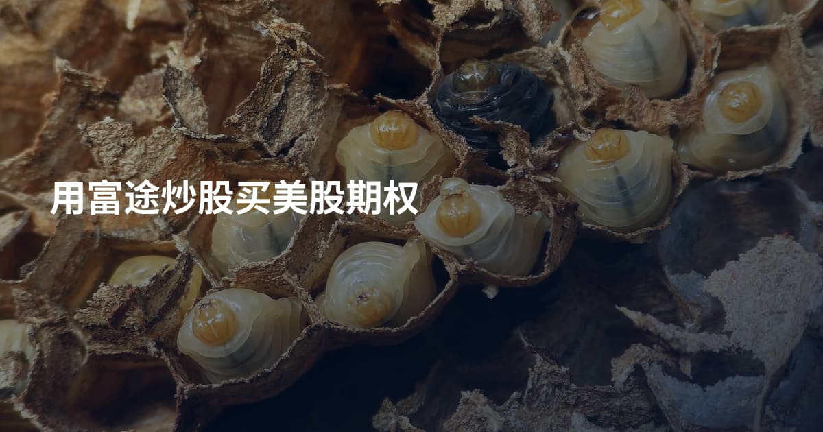 用富途炒股买美股期权
