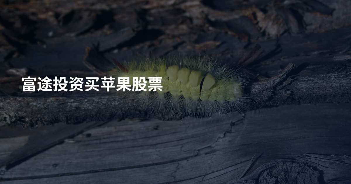 富途投资买苹果股票