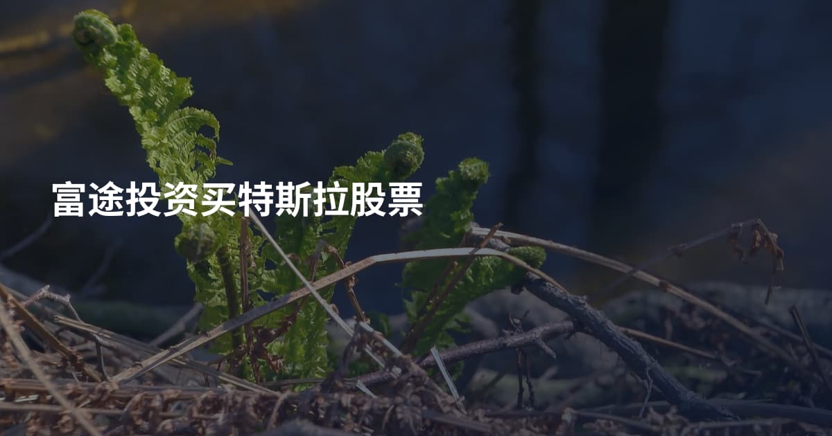 富途投资买特斯拉股票
