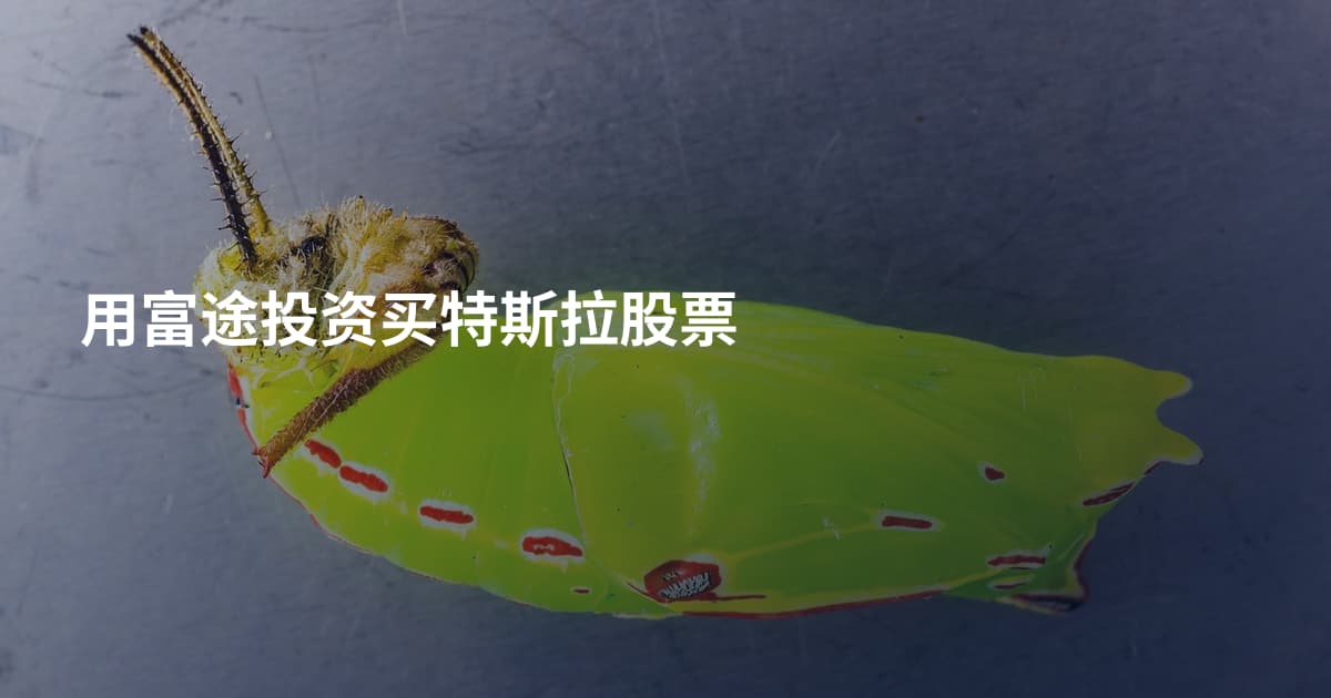 用富途投资买特斯拉股票