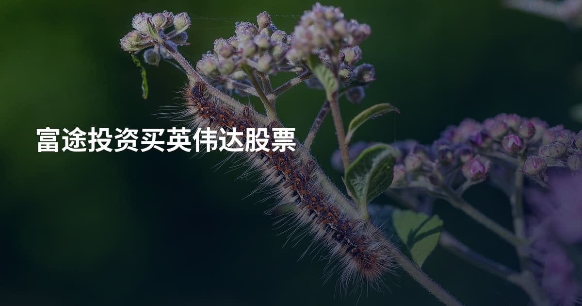 富途投资买英伟达股票