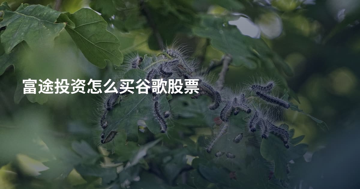 富途投资怎么买谷歌股票