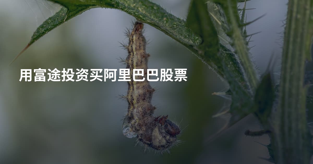 用富途投资买阿里巴巴股票