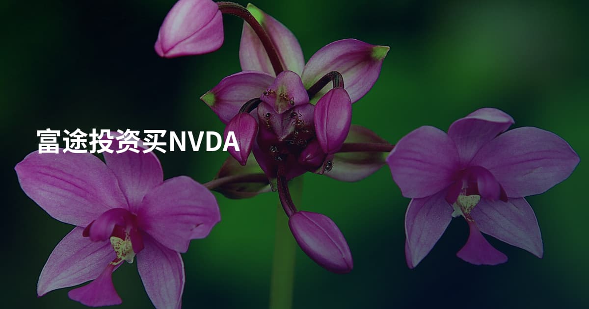富途投资买NVDA