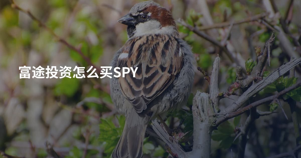 富途投资怎么买SPY