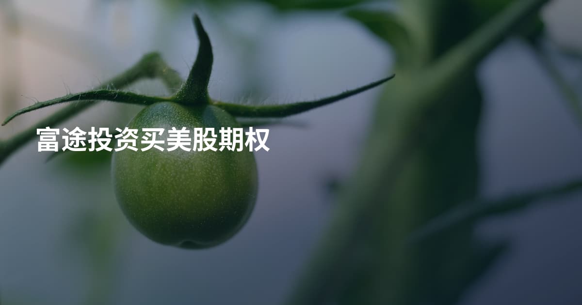 富途投资买美股期权