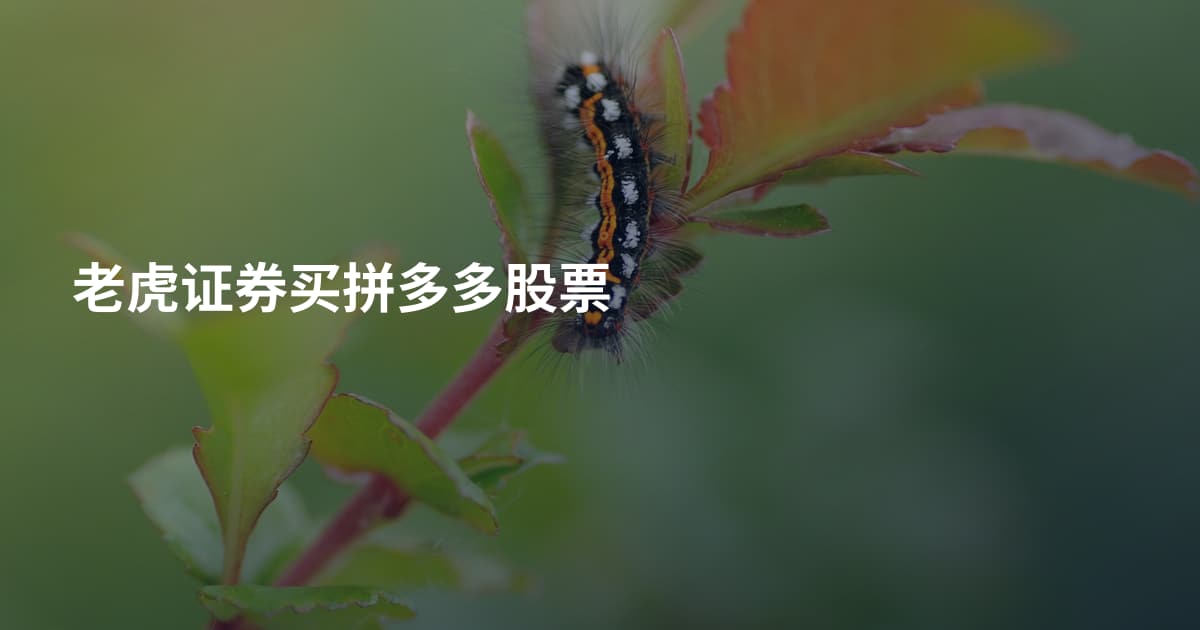 老虎证券买拼多多股票