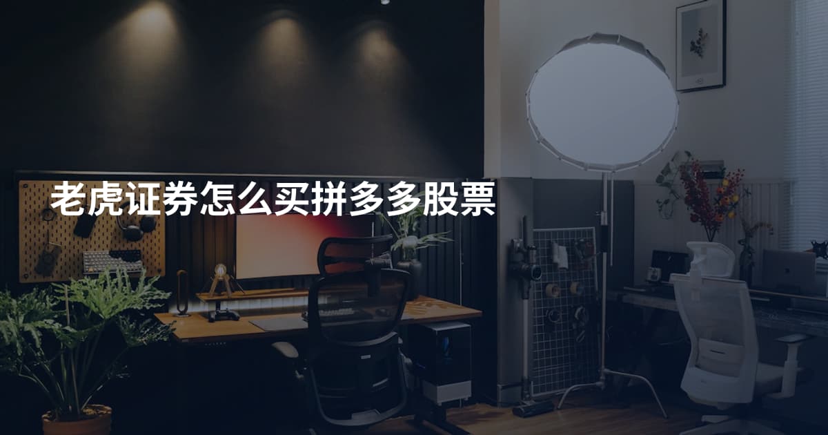 老虎证券怎么买拼多多股票