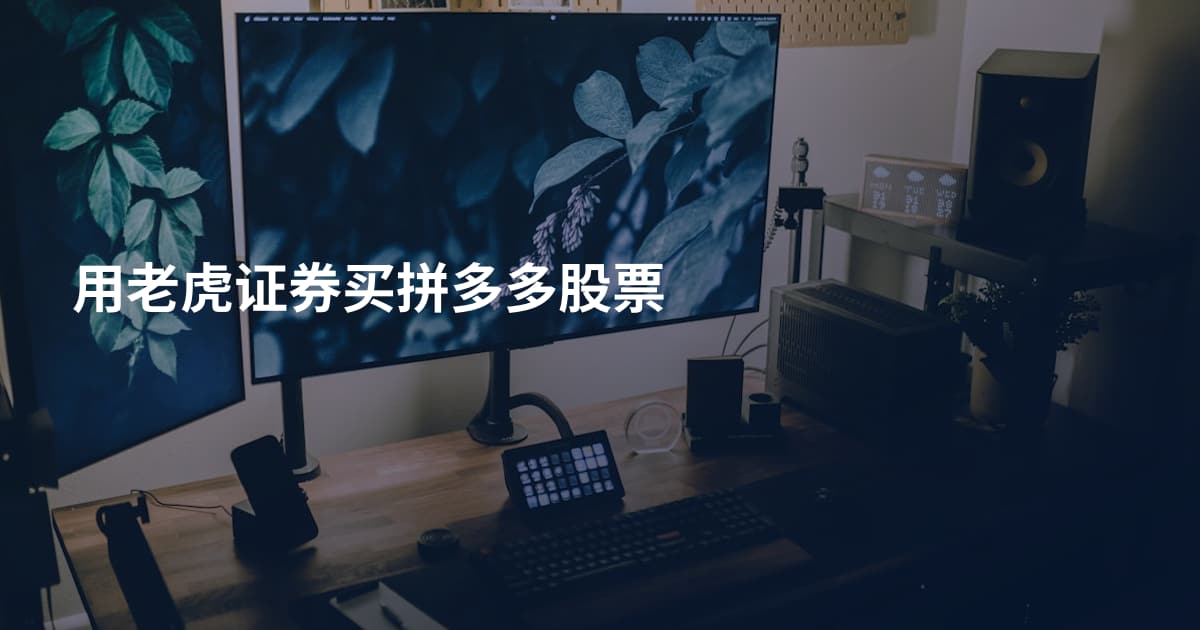 用老虎证券买拼多多股票