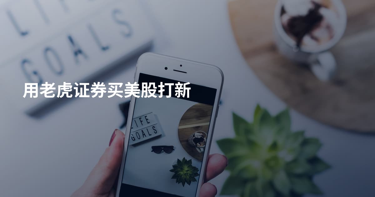 用老虎证券买美股打新